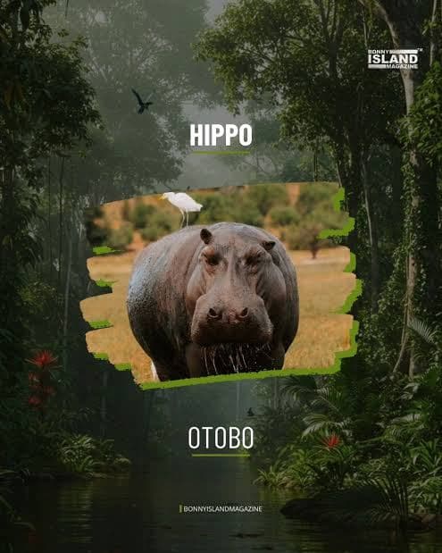 Wildlife