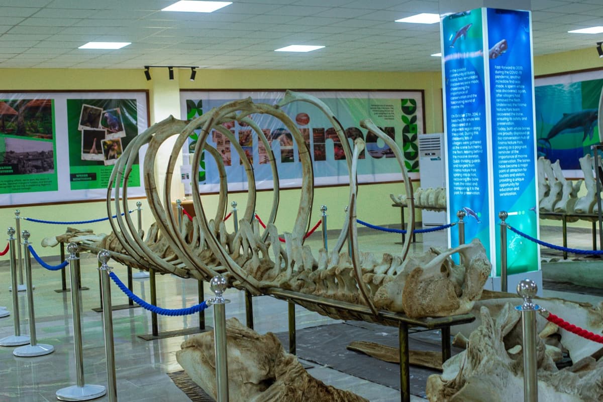 Bio-Conservation Hub